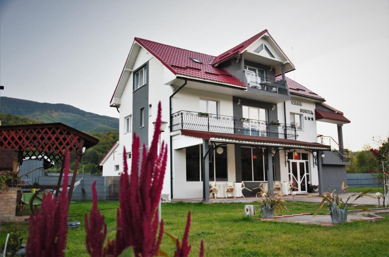 Casa Sonya Apartment Aninoasa Екстериор снимка