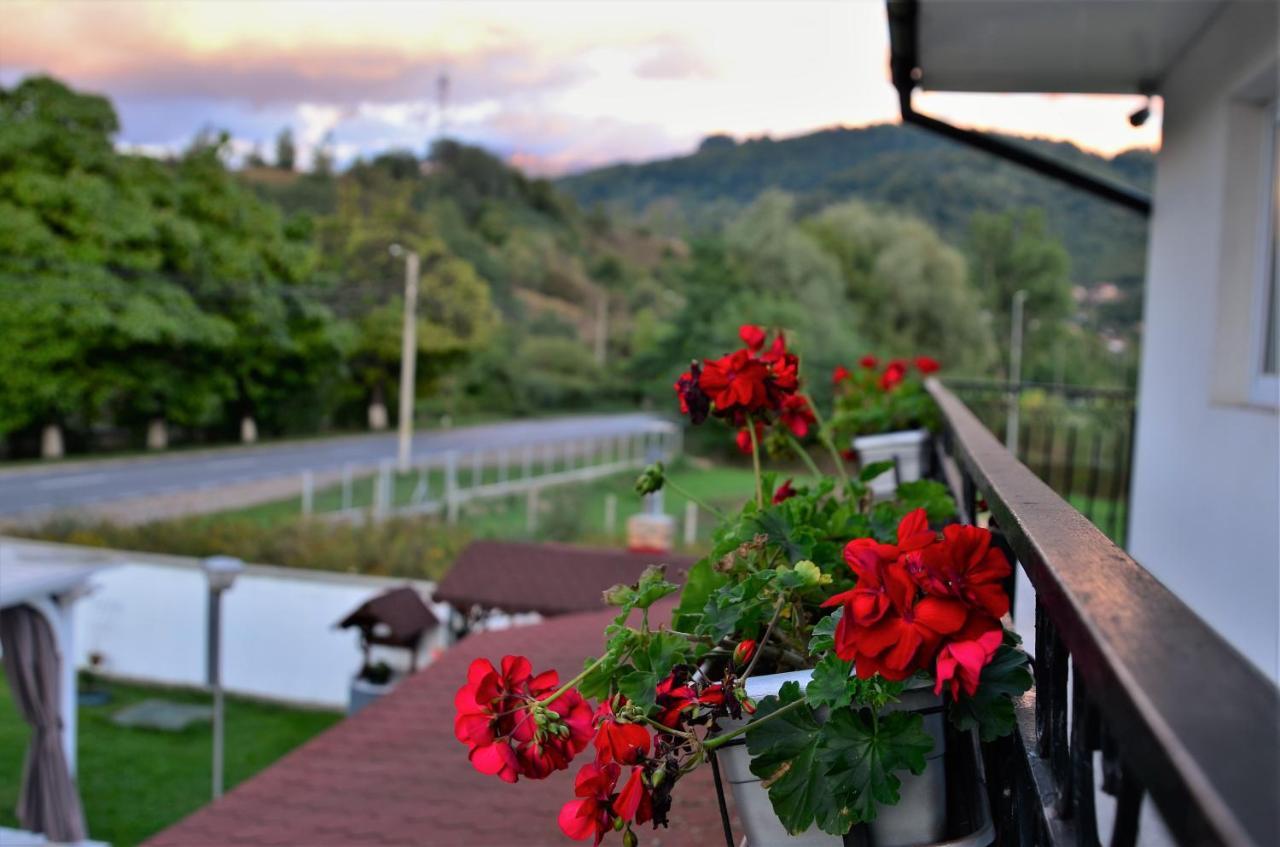 Casa Sonya Apartment Aninoasa Екстериор снимка