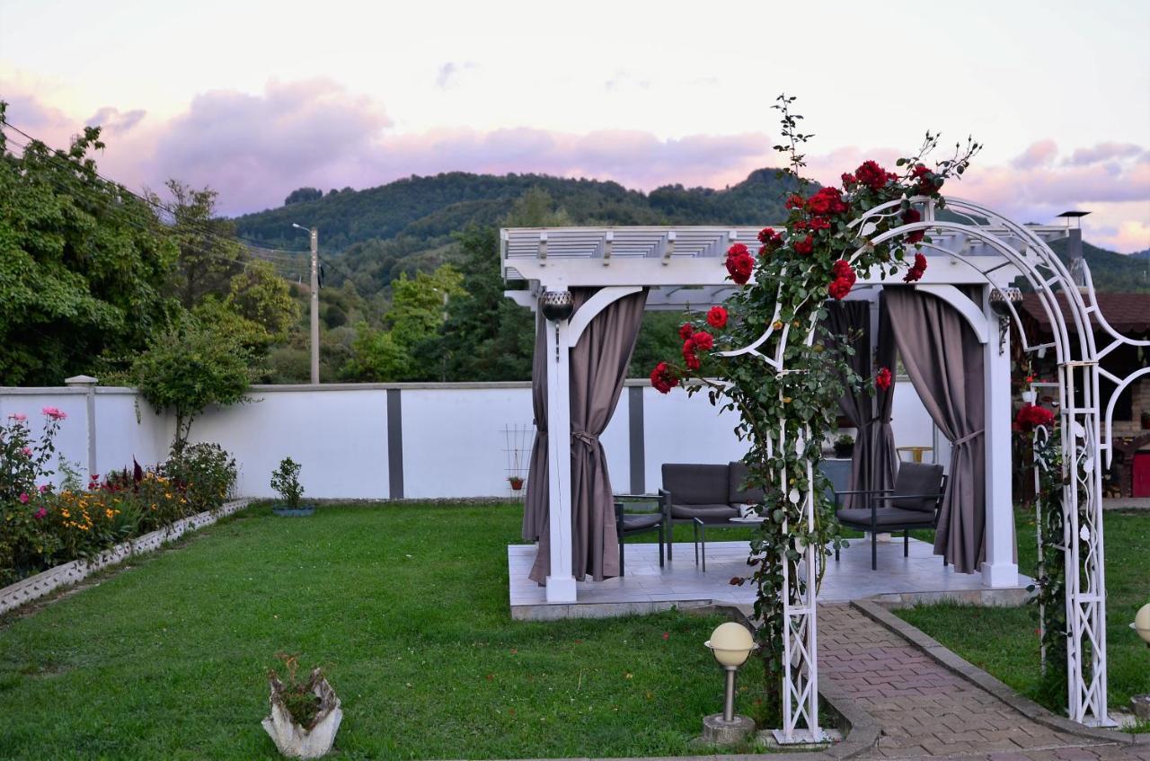Casa Sonya Apartment Aninoasa Екстериор снимка