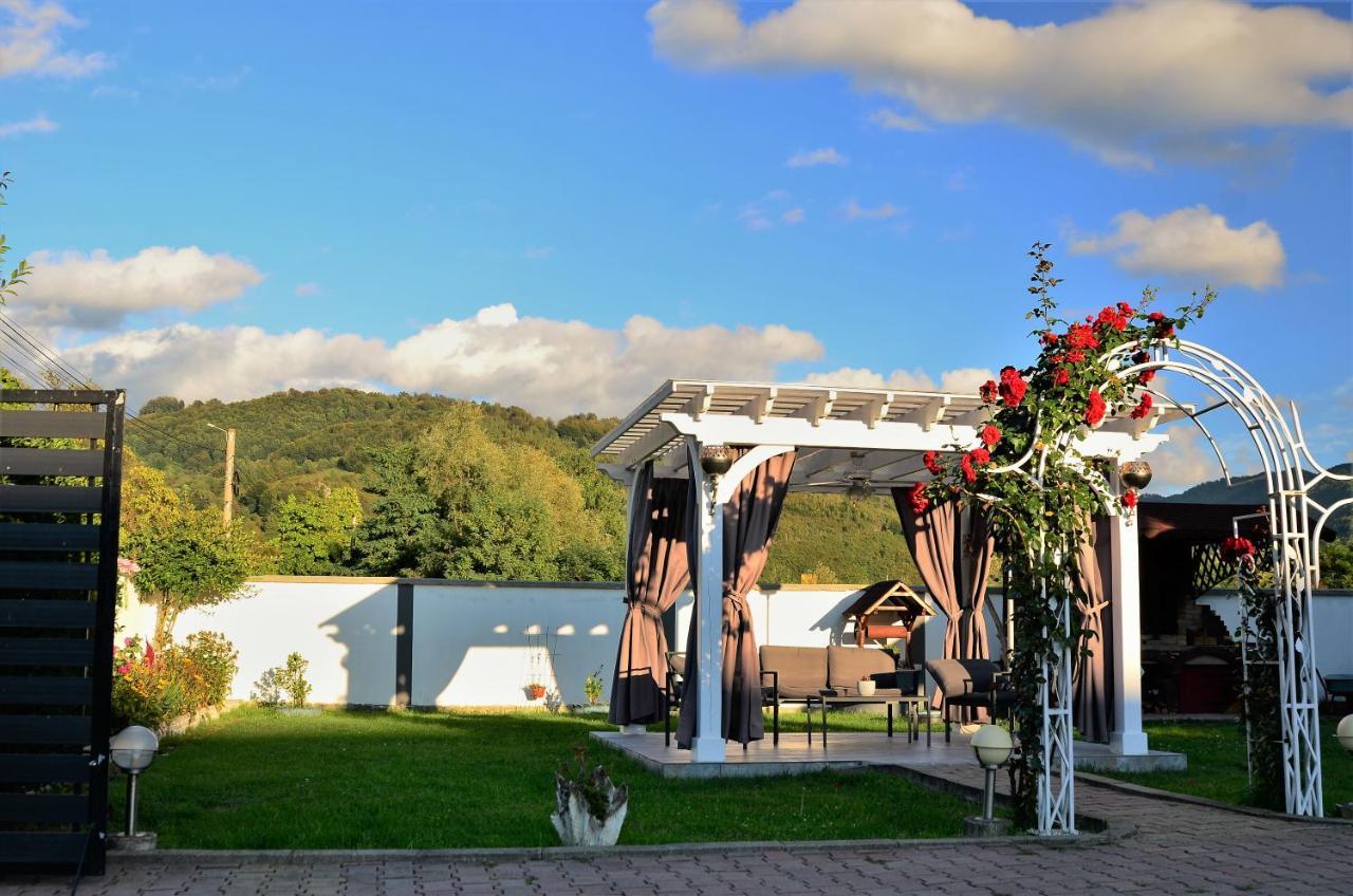 Casa Sonya Apartment Aninoasa Екстериор снимка