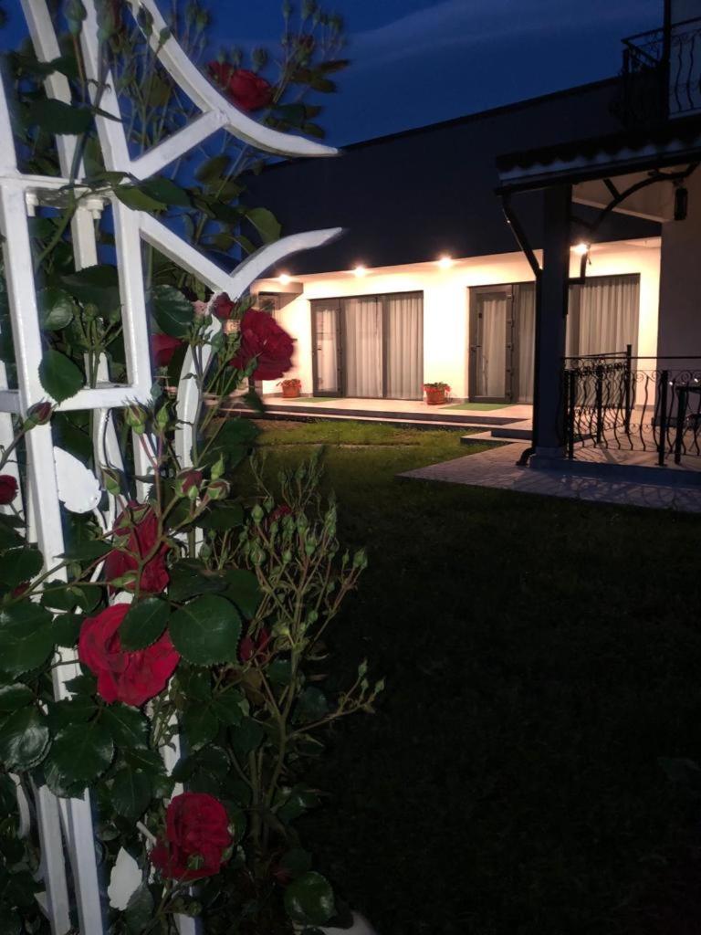 Casa Sonya Apartment Aninoasa Екстериор снимка
